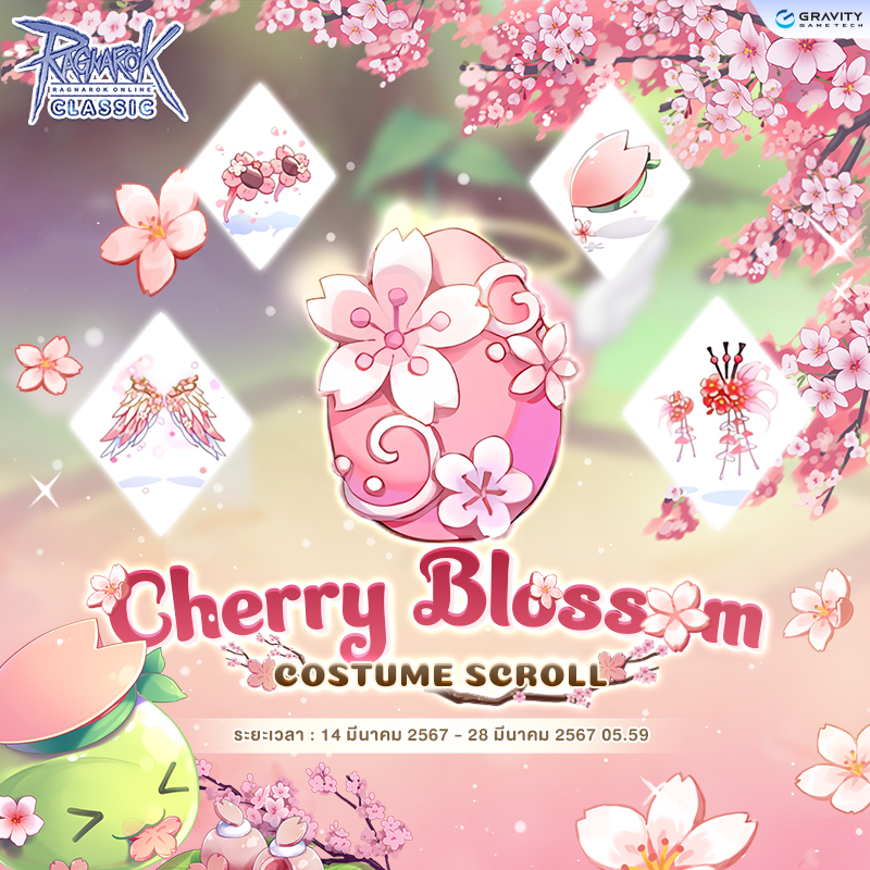 Cherry Blossoms Costume Scroll