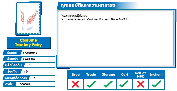 Costume Tomboy Fairy