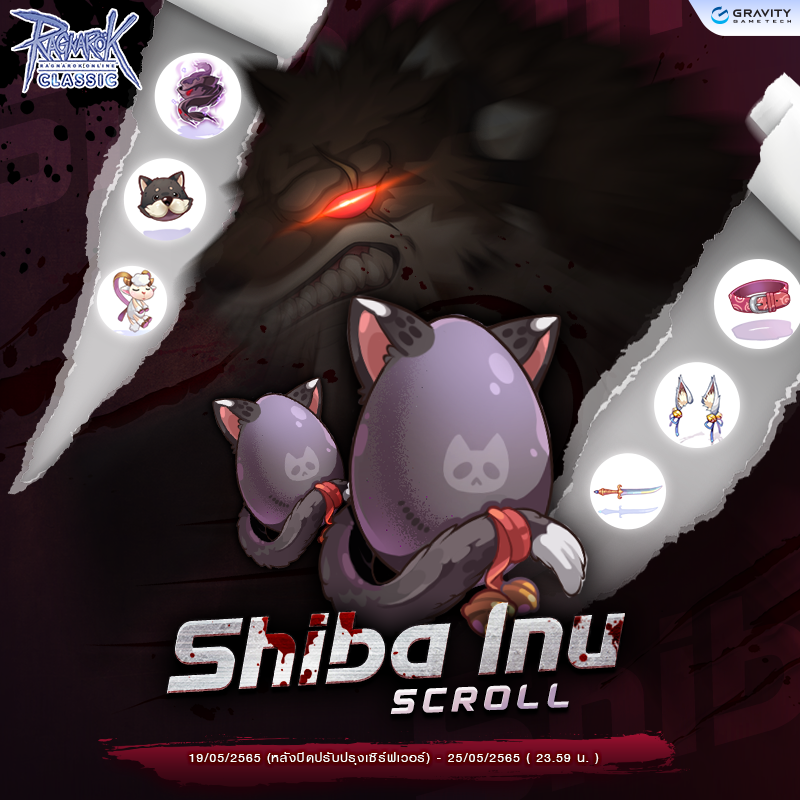 Shiba Inu Scroll